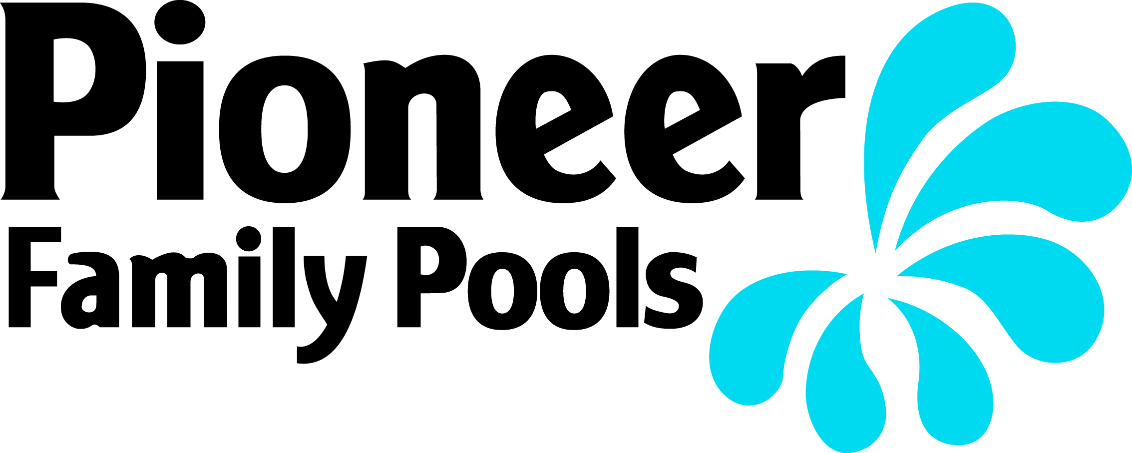 Pioneer_Logo_black_blue_-_Paul_Hynes[1]